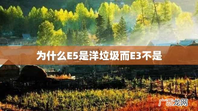 为什么E5是洋垃圾而E3不是