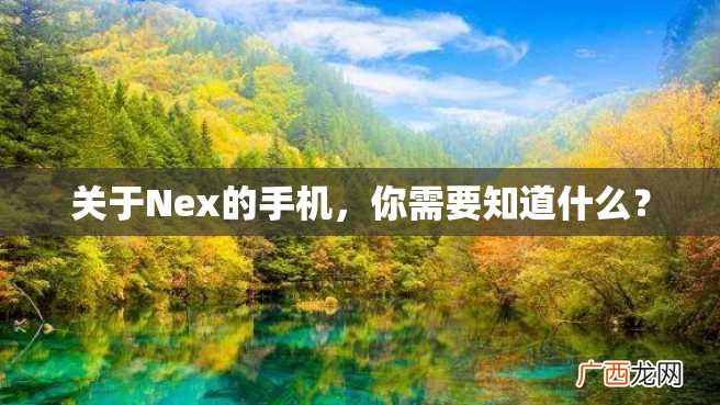 关于Nex的手机，你需要知道什么？