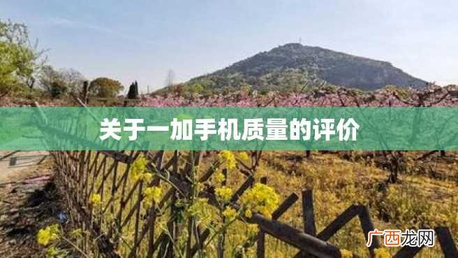 关于一加手机质量的评价