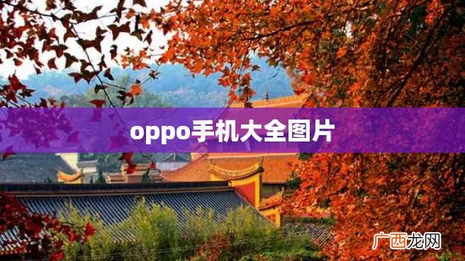 oppo手机大全图片