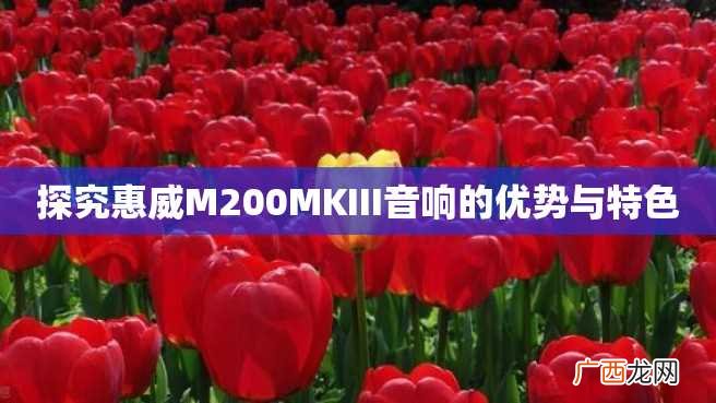 探究惠威M200MKIII音响的优势与特色