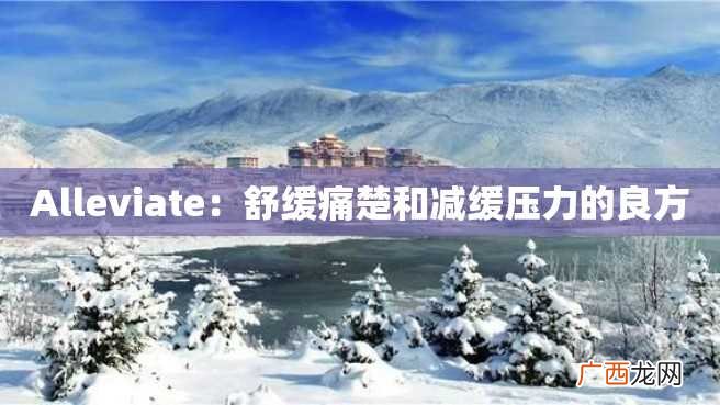 Alleviate：舒缓痛楚和减缓压力的良方