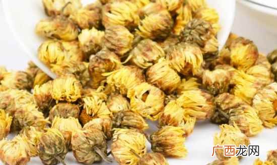 胎菊好还是雪菊好这一问题