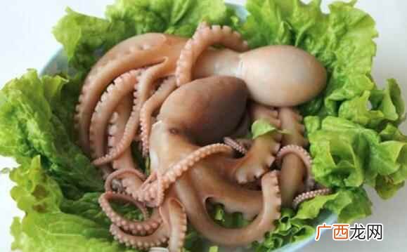 章鱼不能和什么一起吃