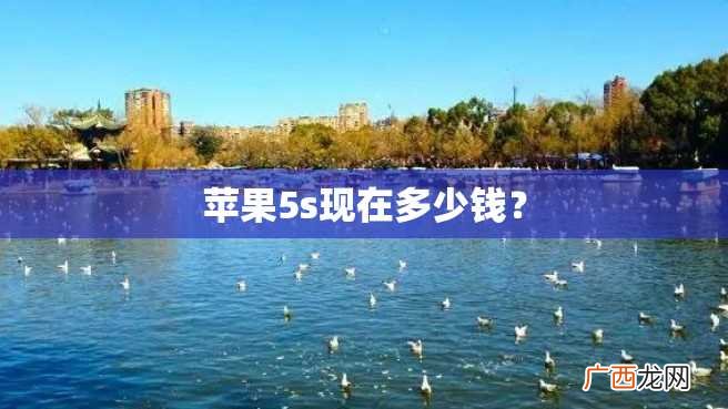 苹果5s现在多少钱？