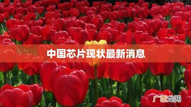 中国芯片现状最新消息
