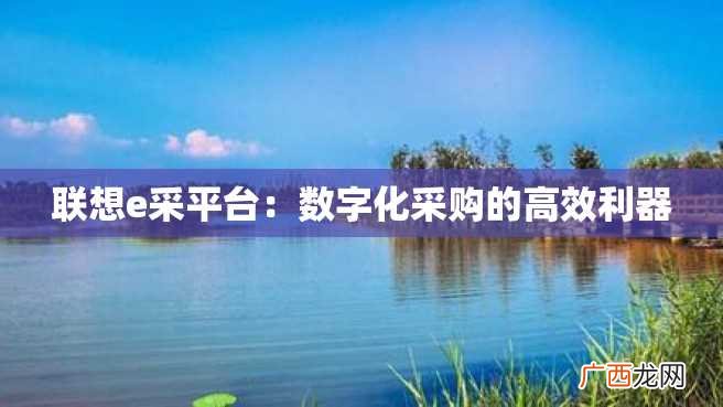联想e采平台：数字化采购的高效利器