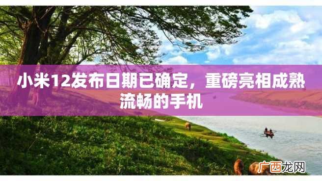 小米12发布日期已确定，重磅亮相成熟流畅的手机
