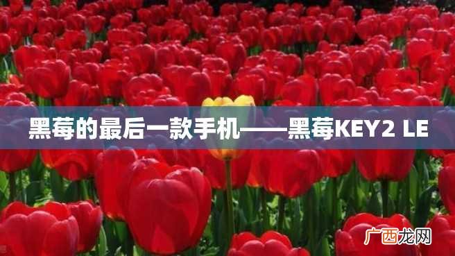 黑莓的最后一款手机——黑莓KEY2 LE