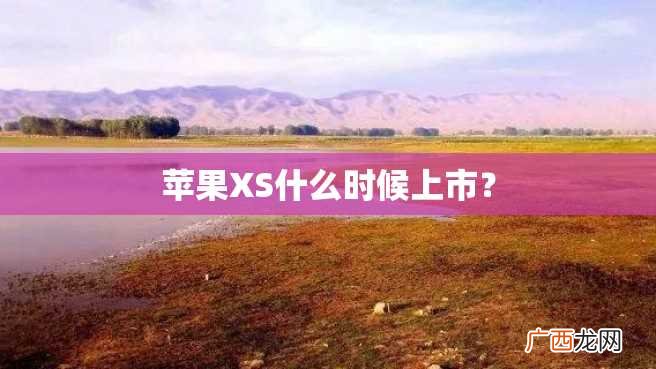 苹果XS什么时候上市？