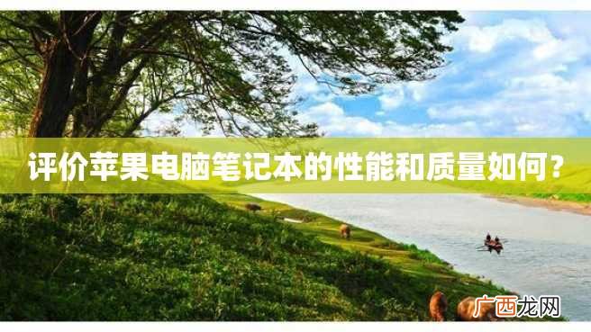 评价苹果电脑笔记本的性能和质量如何？