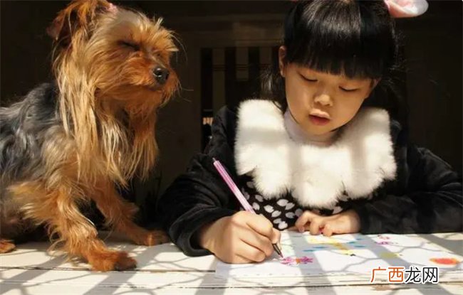 假期到了如何给孩子选择合适的兴趣班呢 3个要点是关键