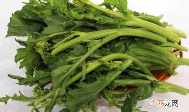 油菜苔是什么