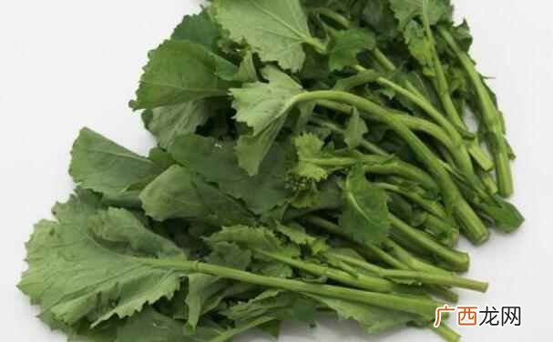 油菜苔和油菜的区别在哪里