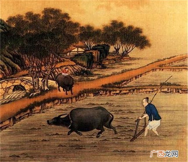 不可思议的美食 揭秘宋朝“二斤肉”到底是什么罕见动物的肉