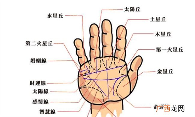 手相和面相不符合怎么办 手相和面相哪个更准