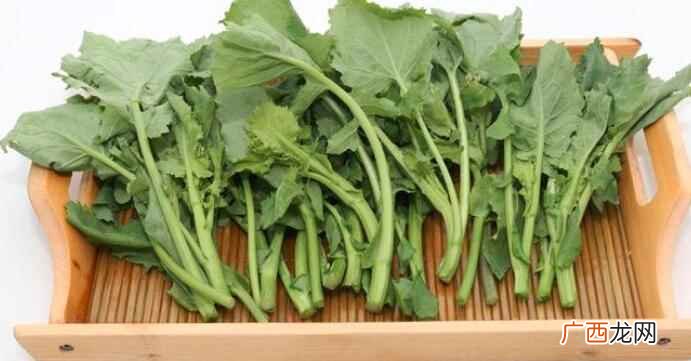 油菜苔什么时候上市
