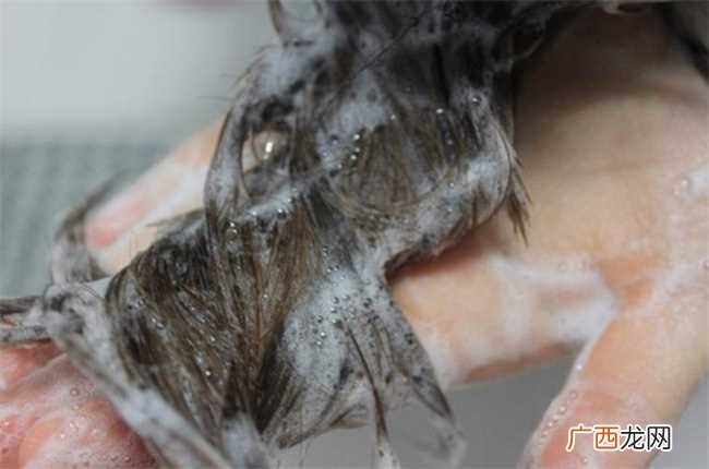 去除头皮屑的有效方法 怎么有效去除头皮屑
