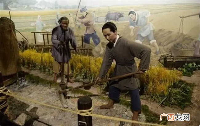 解析命理学中富贵无双与奇特命局都有哪些特点与关联