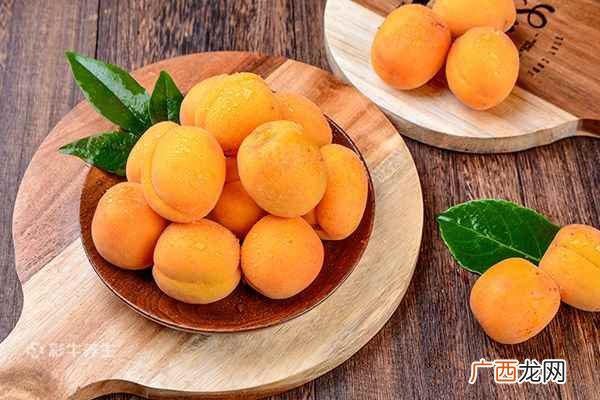 杏是热性还是凉性