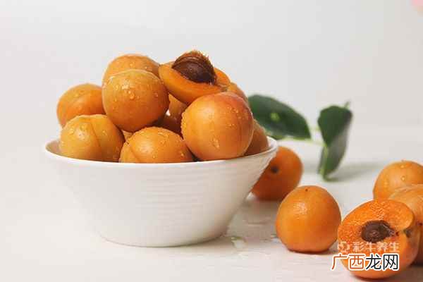 杏是热性还是凉性