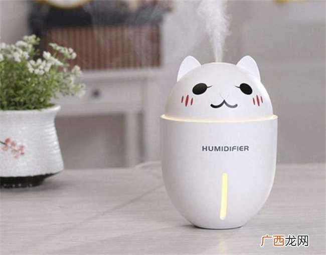 加湿器需要每天换水吗 加湿器的水需要天天换吗