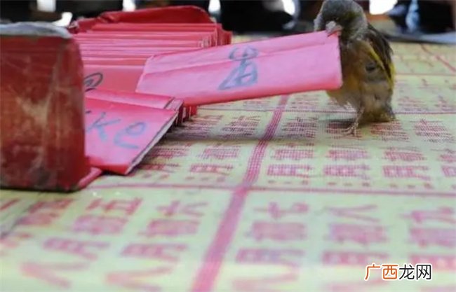命理学中导致命主贫苦多灾的格局命造都有哪些特点