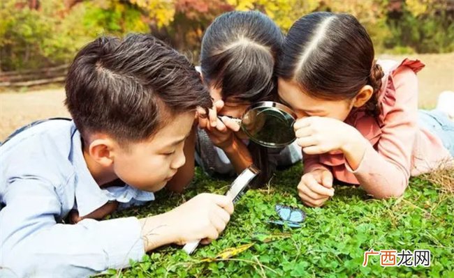 养育孩子这5个力不能忽略 一旦养成 孩子未来发展更顺利