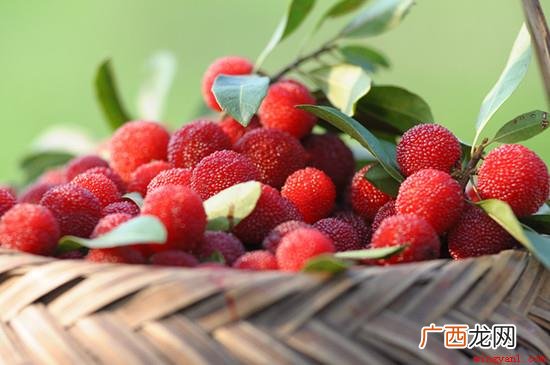 杨梅的上市时间一般在它的成熟期 杨梅几月份成熟