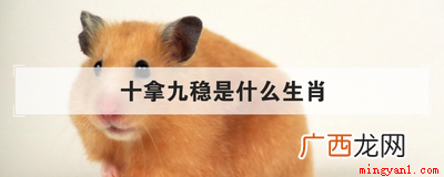 十拿九稳,打一生肖是什么生肖 十拿九稳是什么生肖