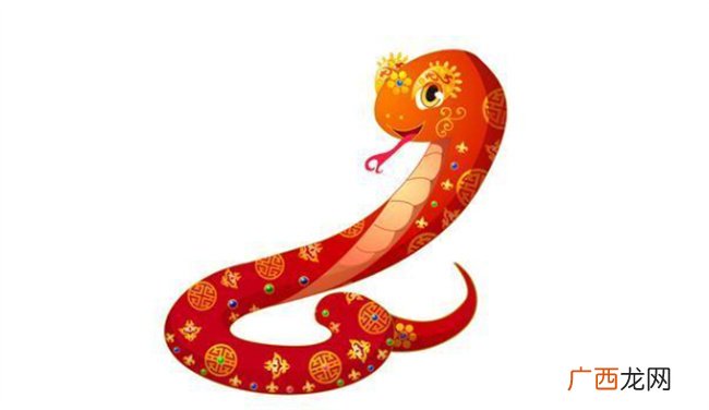 2024属蛇的运势和财运怎么样 2024年属蛇人的运程