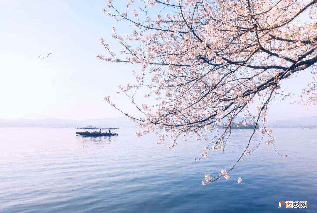 话不投机半句多的下一句是什么