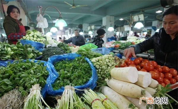 今冬菜价大降 如何防止“菜贱伤农”