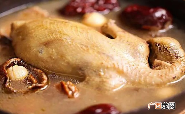 鸽子适宜搭配什么食物鸽子和什么一起吃好吃