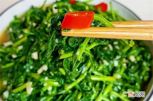 入冬后多吃这3菜 鲜嫩又营养 健脾胃 清肝火