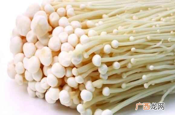 金针菇属于菌类还是菇类 金针菇是菌类还是菇类