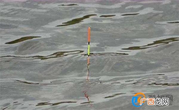 冰钓用什么漂型最好 冰钓漂怎么选择_酷知科普