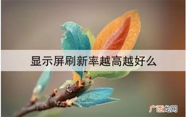 iphone屏幕中的刷新率怎么调 刷新率是什么意思