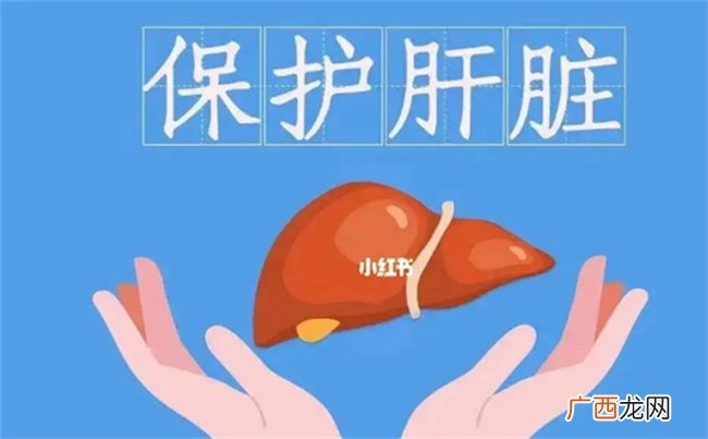 什么食物护肝脏 想护肝什么食物最好