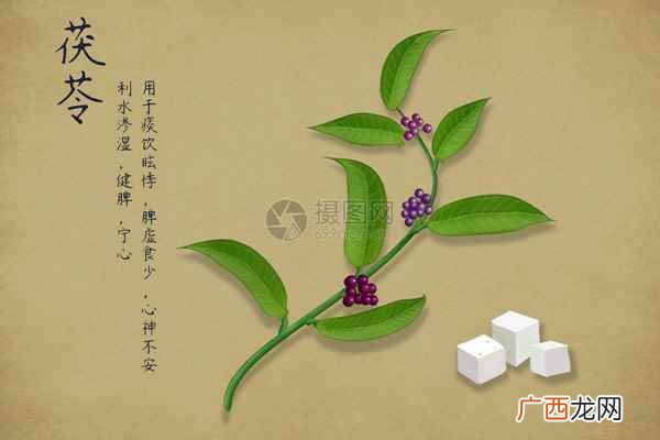 茯苓的功效与作用 茯苓有什么副作用