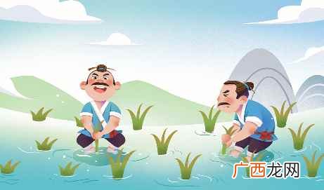 《揠苗助长》故事讲的是 揠苗助长告诉我们什么道理
