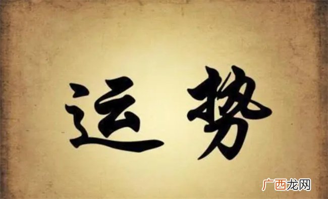 十神格中 情商最高的是哪个 情商几乎为零的是哪个 你知道吗