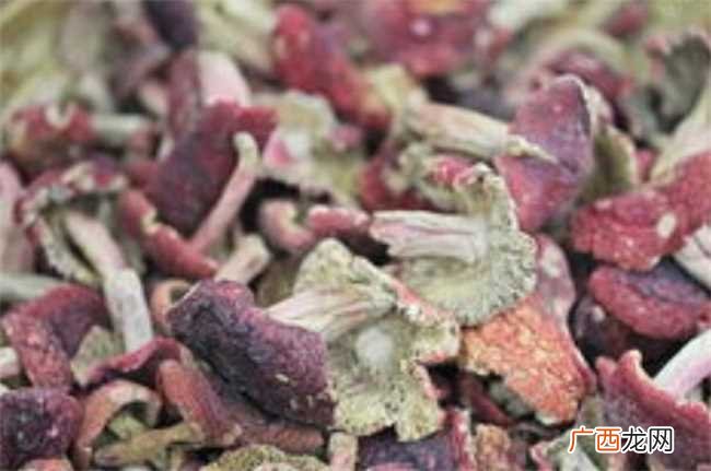 红菌菇的功效与作用