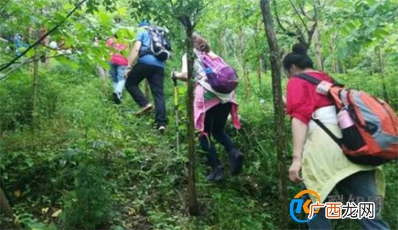 一个人山林徒步时都要关注哪些点 山林徒步要注意什么_酷知科普