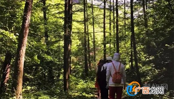一个人山林徒步时都要关注哪些点 山林徒步要注意什么_酷知科普