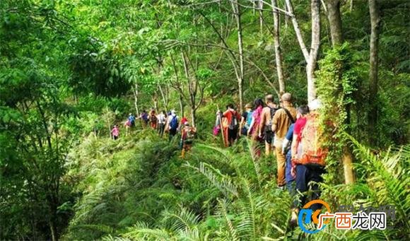 一个人山林徒步时都要关注哪些点 山林徒步要注意什么_酷知科普