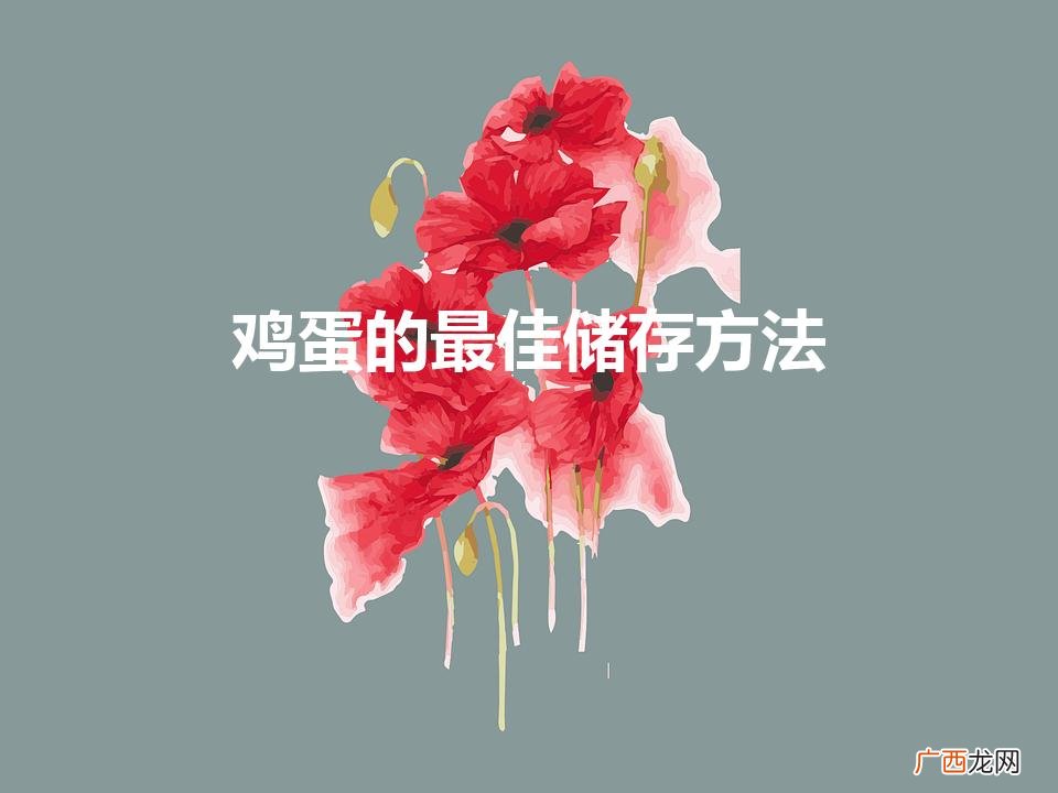 鸡蛋的最佳储存方法（鸡蛋太多吃不完怎么保存)