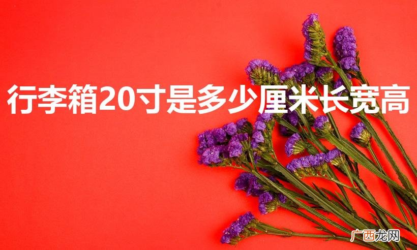 行李箱20寸尺寸揭秘 行李箱20寸是多少厘米长宽高