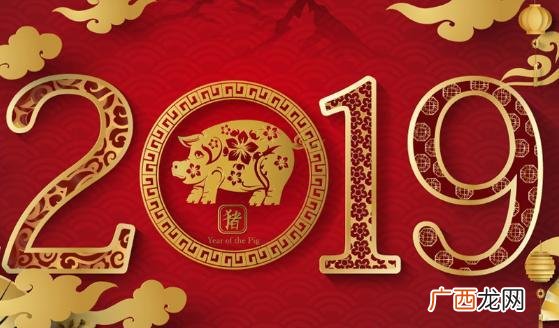 2019年发生了什么重大事件 2019年什么命