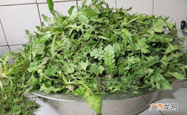 ?荠菜的营养价值和功效 荠菜的禁忌是什么